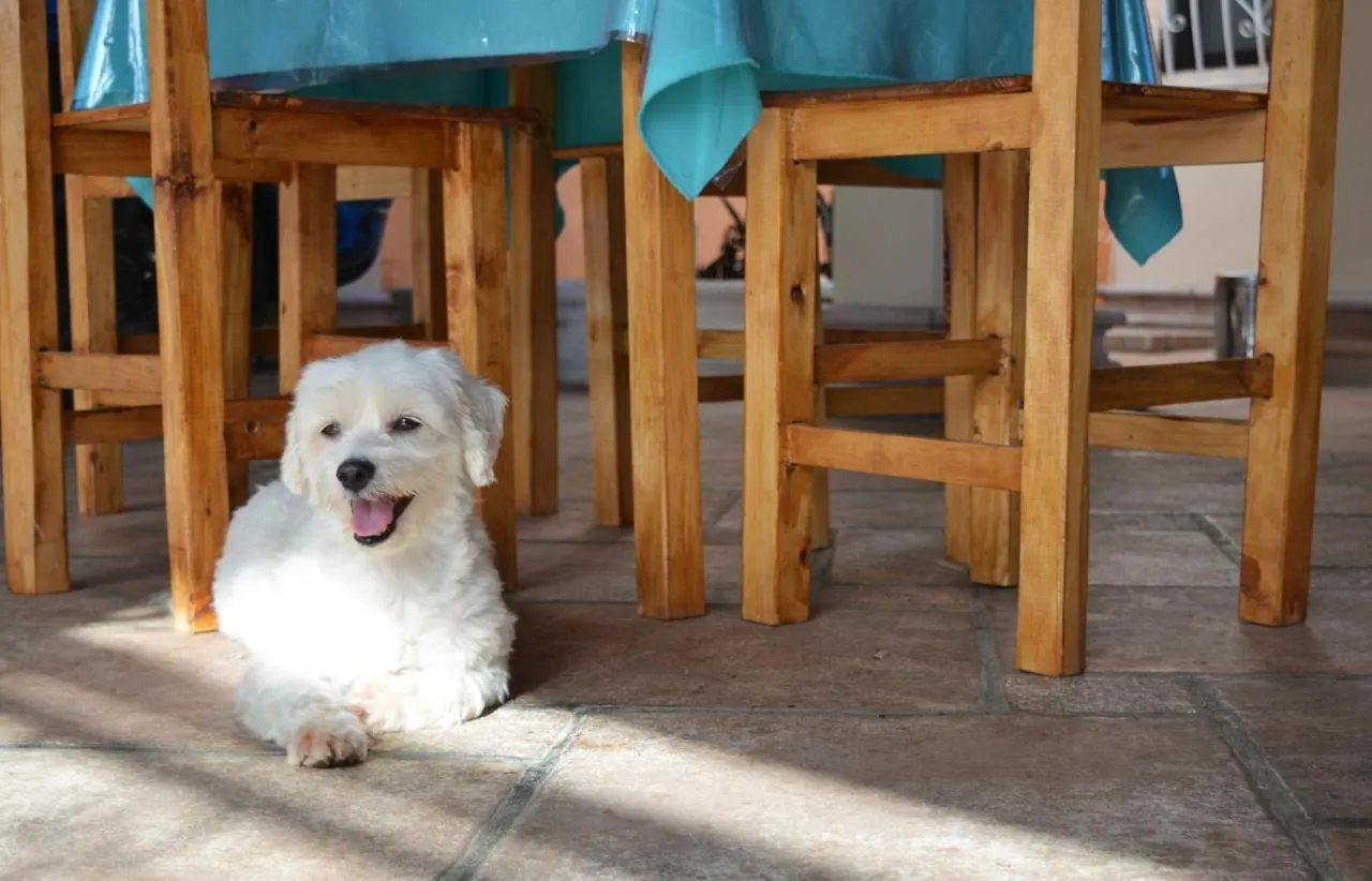 Casa Rita Bed & Breakfast Cancun