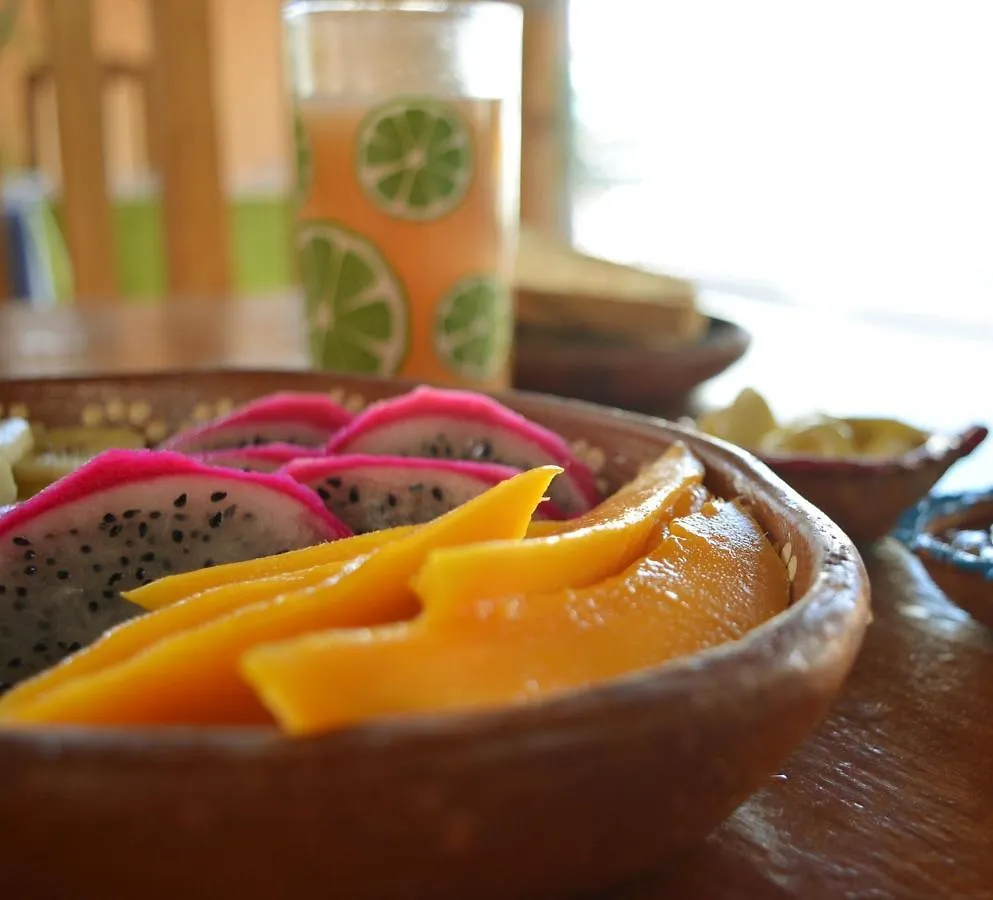 Casa Rita Bed & Breakfast Cancun Mexico